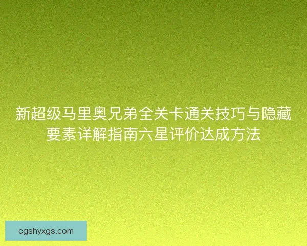 新超级马里奥兄弟全关卡通关技巧与隐藏要素详解指南六星评价达成方法